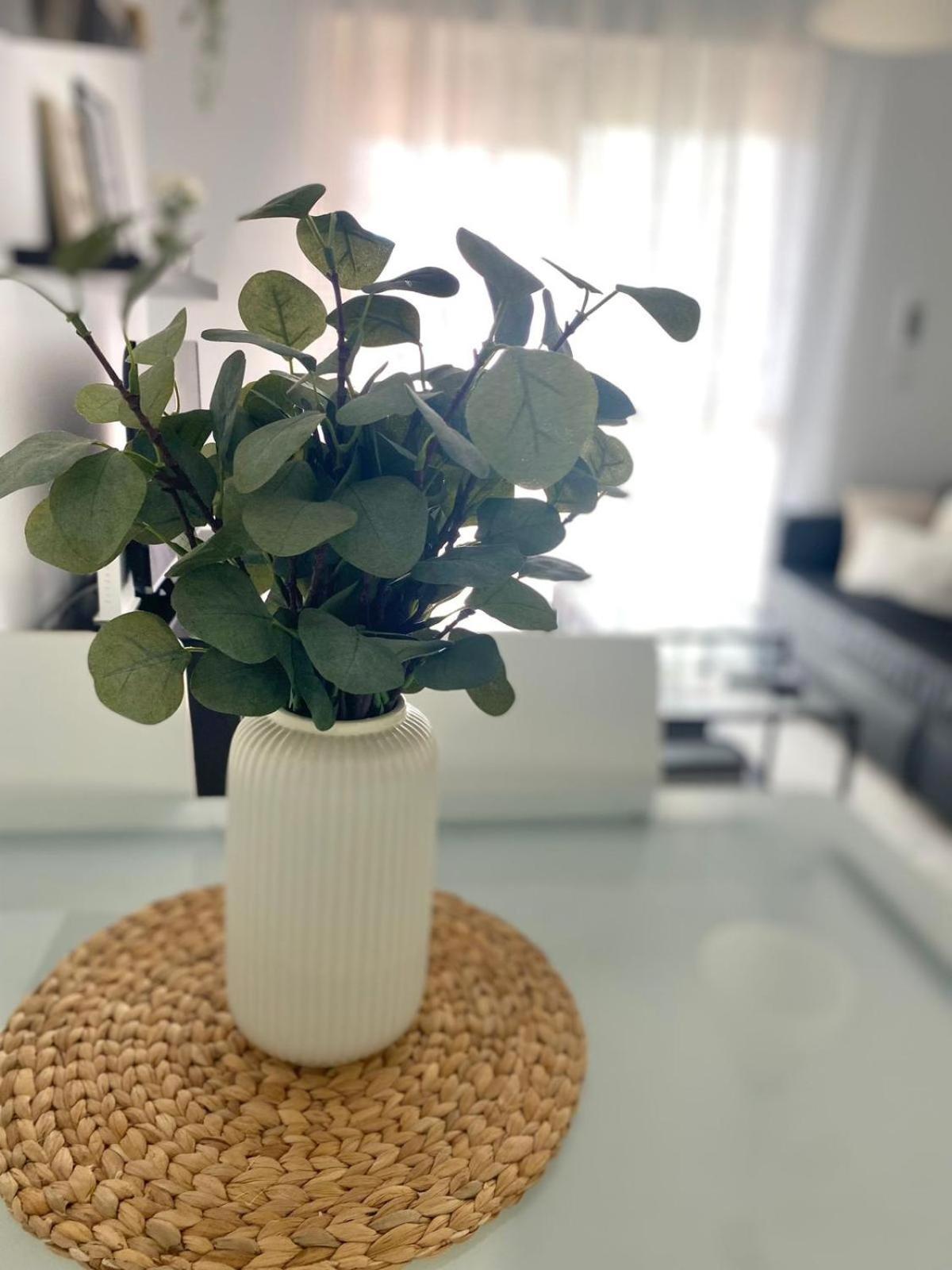 Apartamento Atlantico Рота Екстер'єр фото